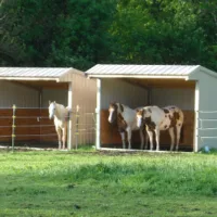 Wrangler Horse Shelter Kit