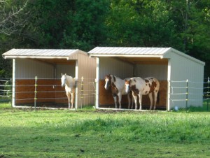 Wrangler Horse Shelter Kit