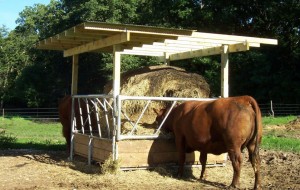 VL-2882 Cattle Hay Feeder - Save Money & Time | Klene Pipe Structures