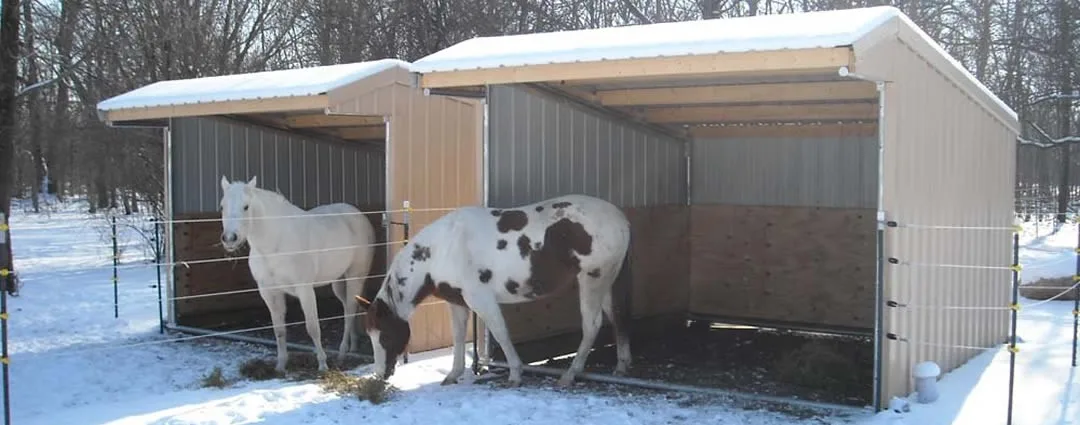 Run In Horse Shelter