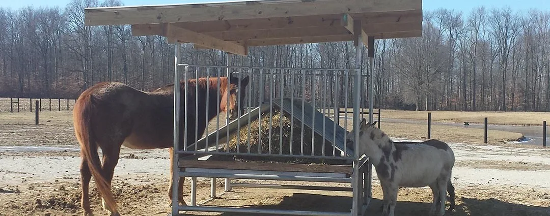 Hay Saver Hay Feeder for Horses