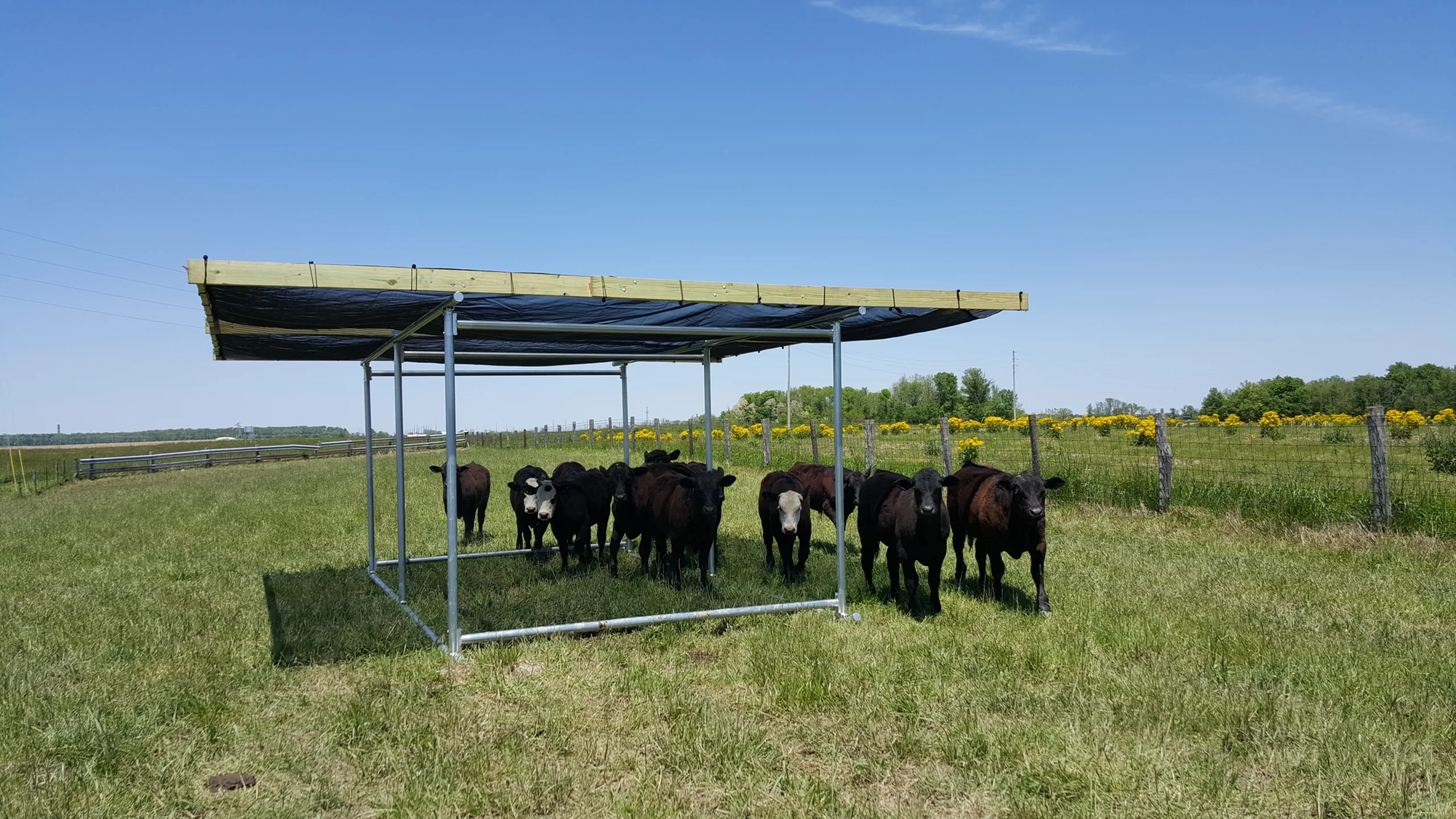 Portable Shade Structure