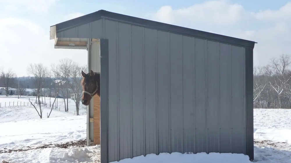 horse in horse shelter in winter