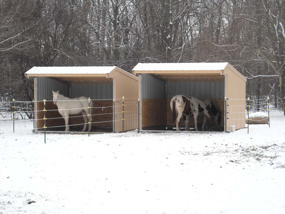 2 horses in run-in shelters in the winter