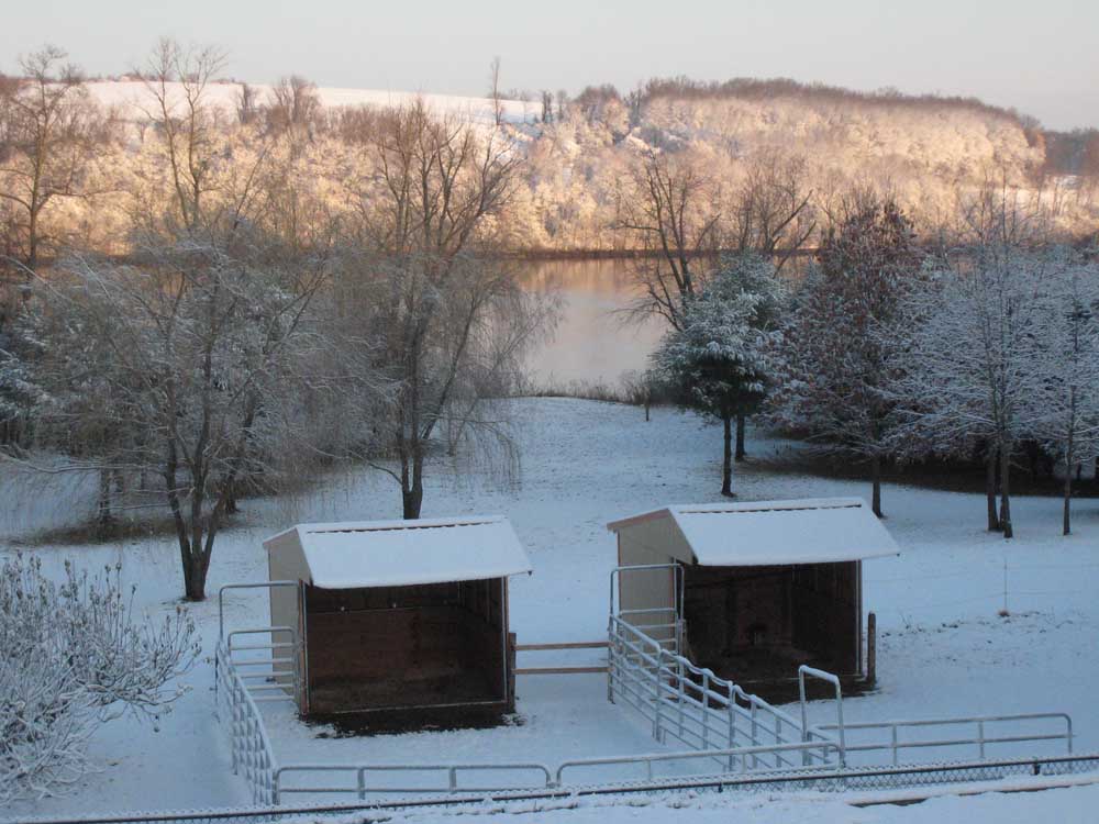 Wrangler run in horse sheds in the winter