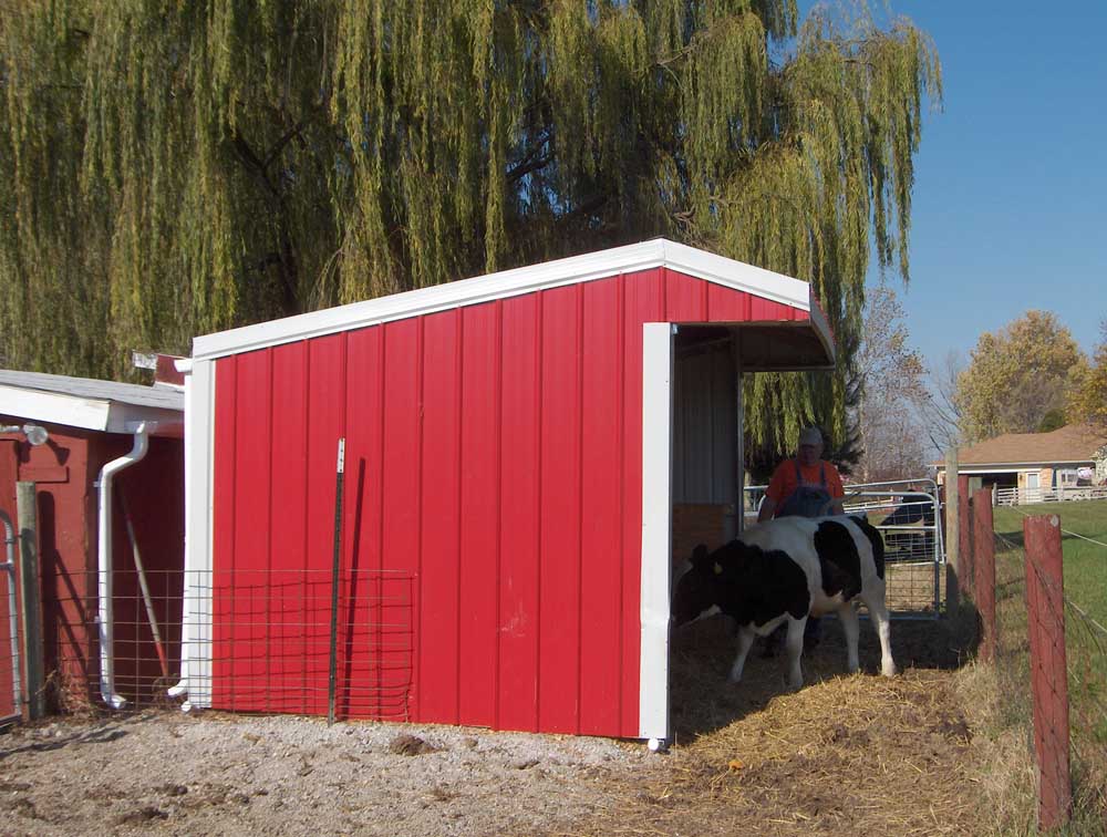 red run in horse shelter