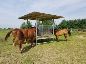 Horse Hay Feeders, Shelters & Shade Structures | Klene Pipe