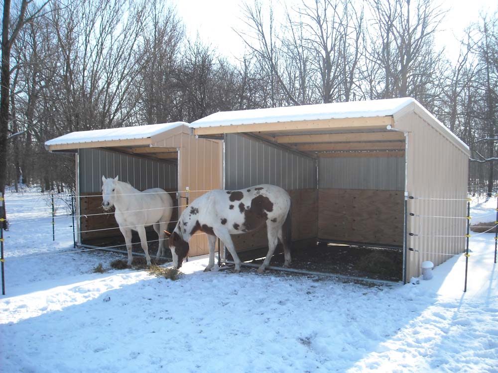 Image of horses in shelter.