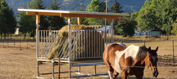 Horse with a Klene Pipe Hay Feeder