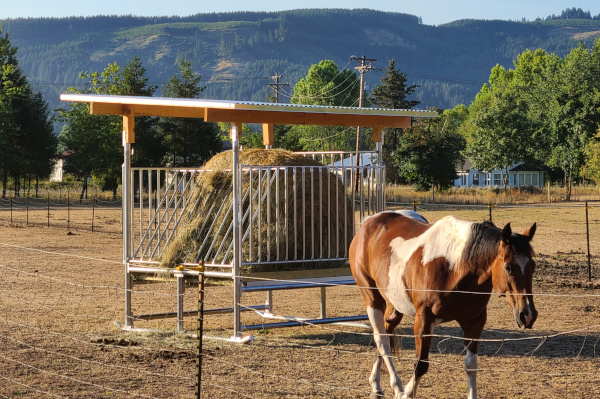 Horse with a Klene Pipe Hay Feeder