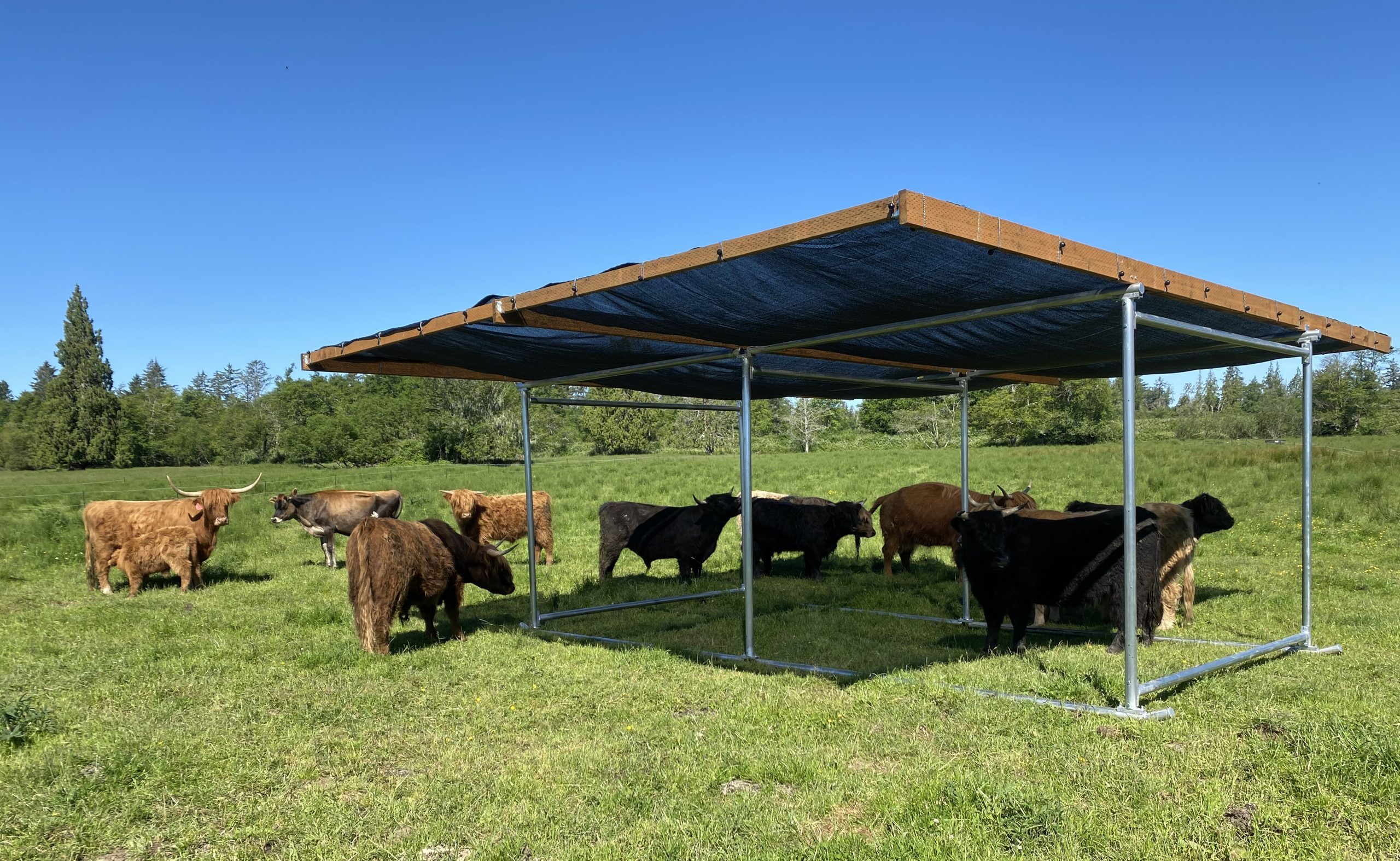 portable shade for cattle