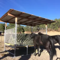 H-10 Horse Hay Feeder